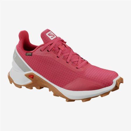 Chaussure salomon femme online pas cher